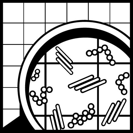 DEO-DES Pramol бактерицидное средство для любых моющихся поверхностей, концентрат 10 л 16306.08310 – фото