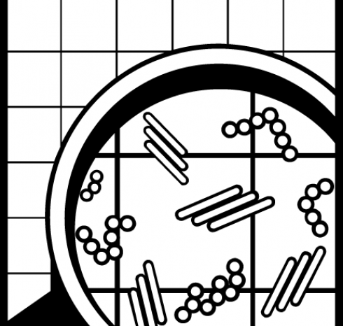 DEO-DES Pramol бактерицидное средство для любых моющихся поверхностей, концентрат 1 л: изображение 2